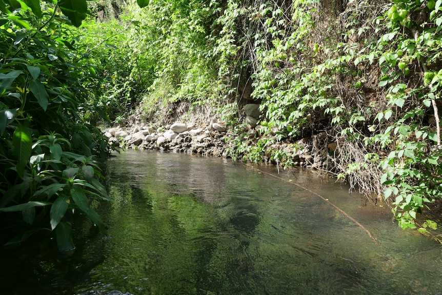 A creek bending to the left