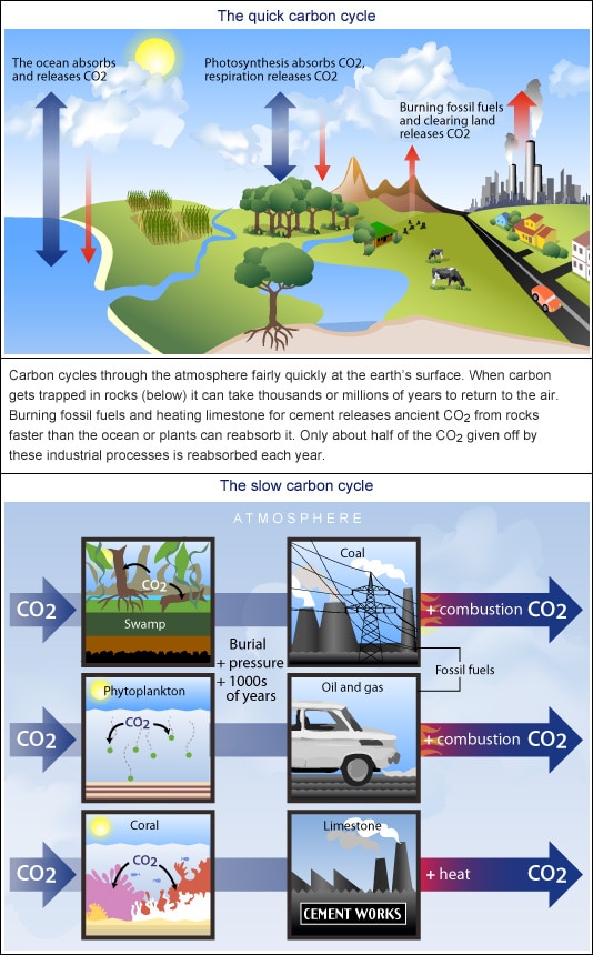 The quick and slow carbon cycles