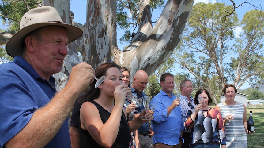 Winemakers and politicians gather under a tree and drink some Prosecco