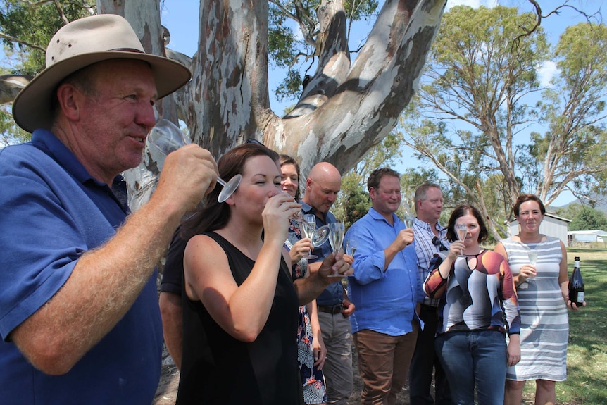 Winemakers and politicians gather under a tree and drink some Prosecco