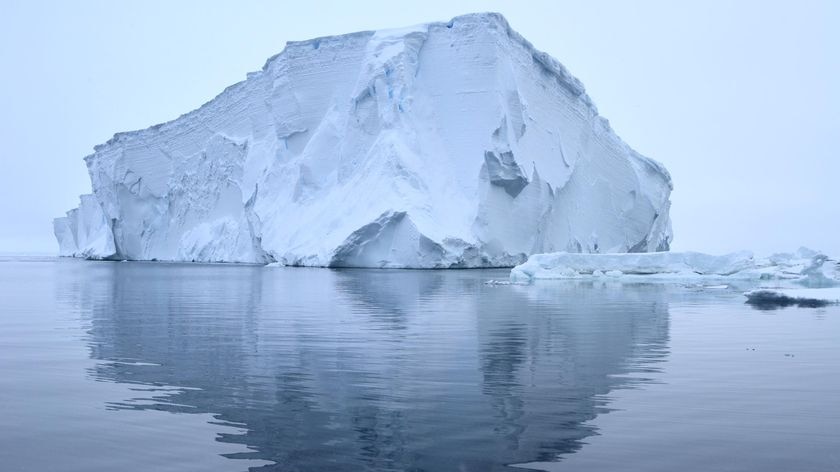 Icebergs in Antarctic waters