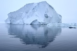 Icebergs in Antarctic waters
