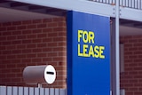A blue sign with yellow writing, which reads reads "For Lease", sits on the fence of a row of apartments in Balmain, NSW.