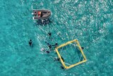 Researchers with a floating device to capture coral spawn.