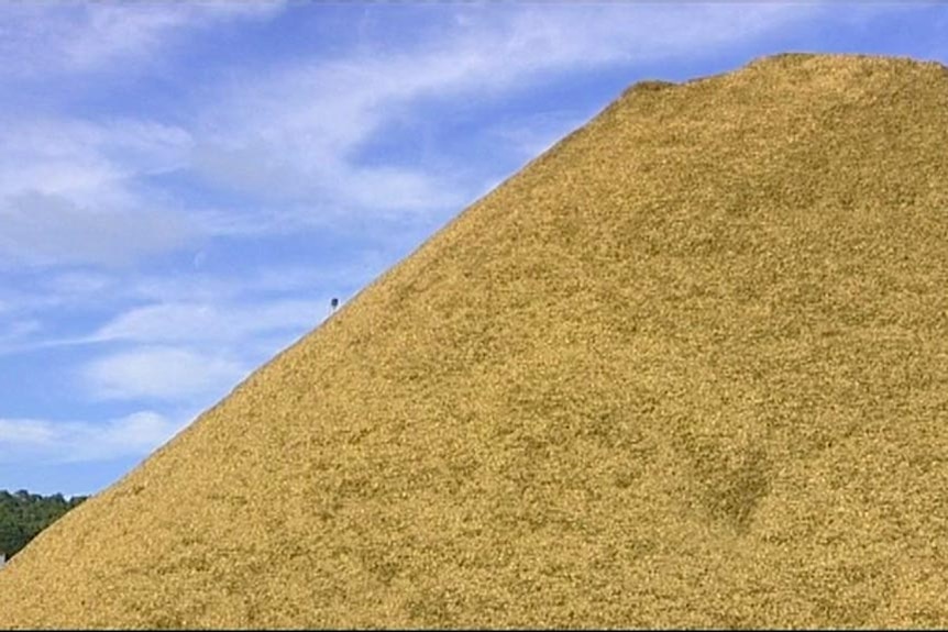 A pile of sawdust