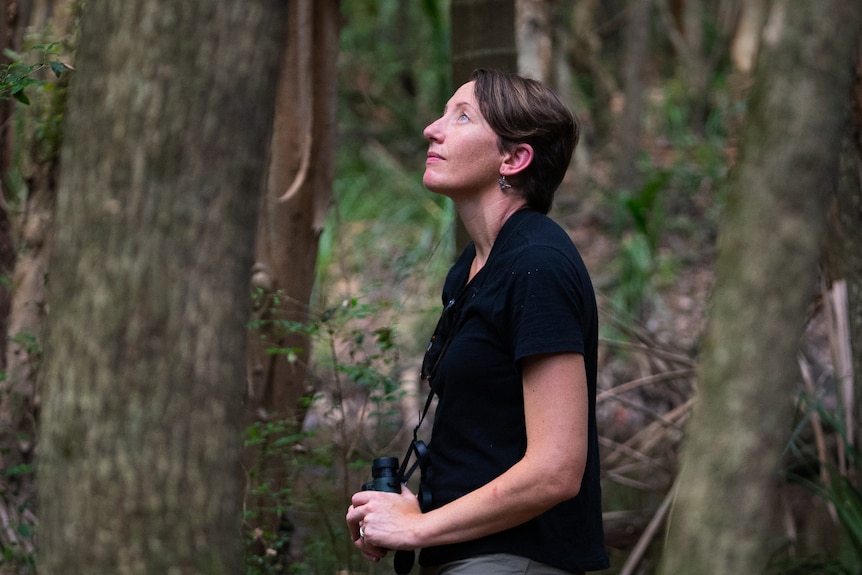 Photo of a woman looking up at trees.