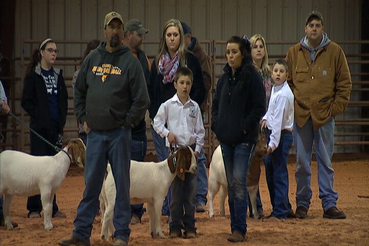 Locals gather at the Durant showgrounds for livestock judging