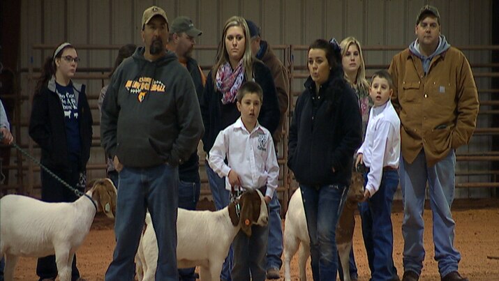Locals gather at the Durant showgrounds for livestock judging