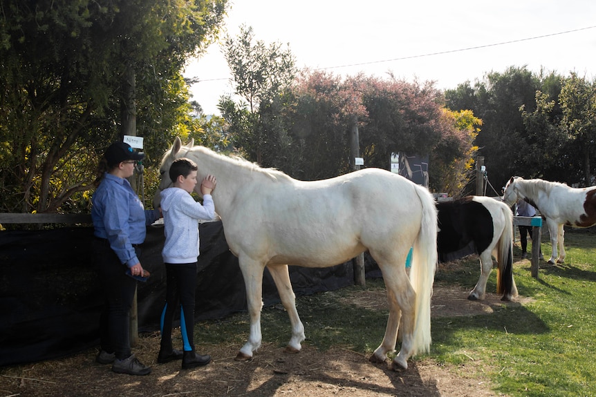 Boy and teacher stand next to horse, boy pats horse.