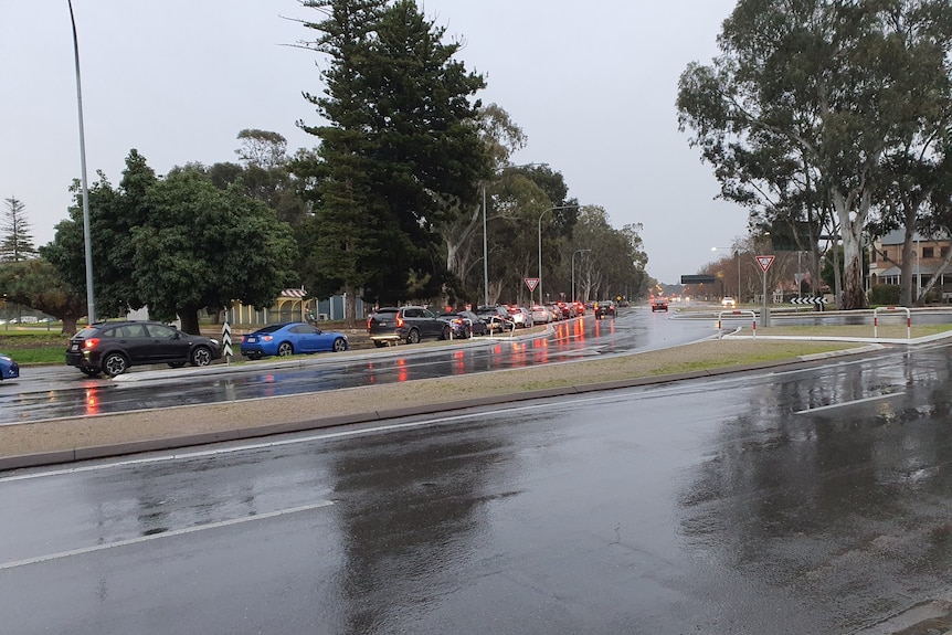 Cars lined up along a road