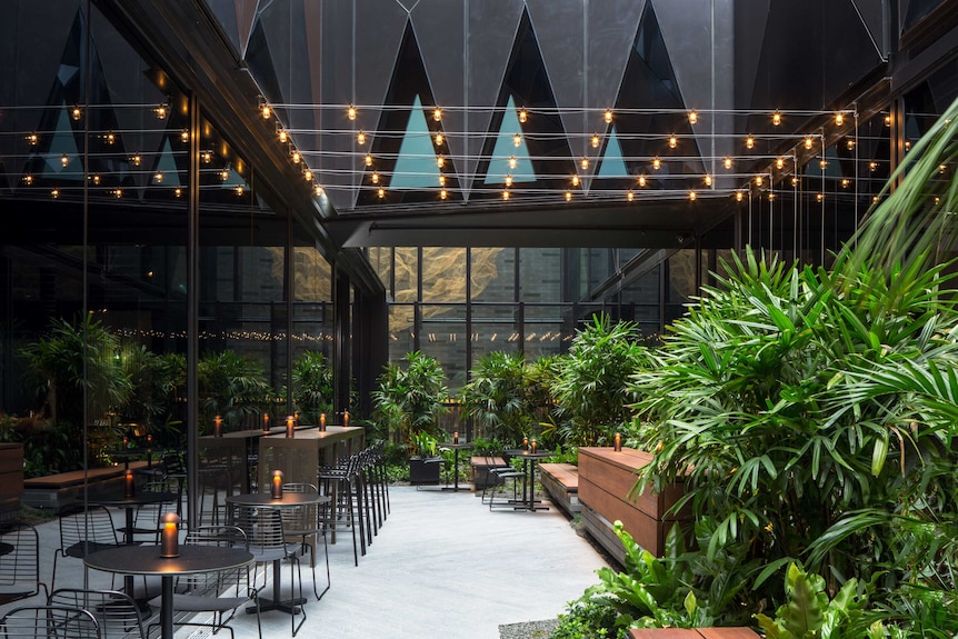 The atrium at West Hotel with lighting strung above and a garden, chairs and tables.