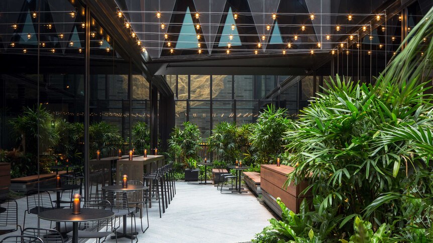 The atrium at West Hotel with lighting strung above and a garden, chairs and tables.