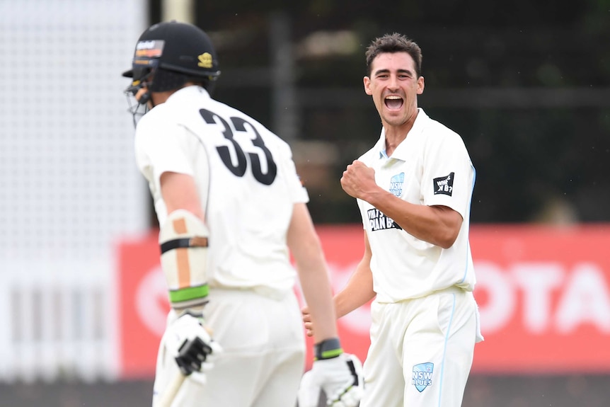 Mitchell Starc pumps his fist and screams out after taking the wicket of Simon Mackin.