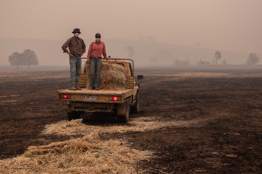 Tony and Kerstyn Jarvis stand on the back of a ute, feeding hay into burnt paddocks, wearing face masks, in thick smoke haze.