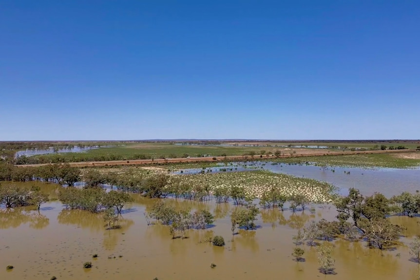 Floodwaters soaking land east of Wilcannia on a blue skied day. 