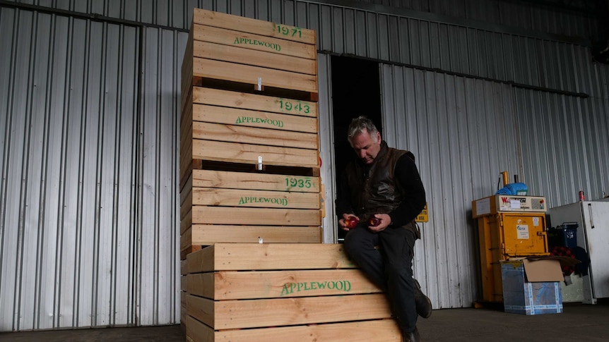 Manjimup apple grower Vic Grozotis at his packing shed in July 2020.
