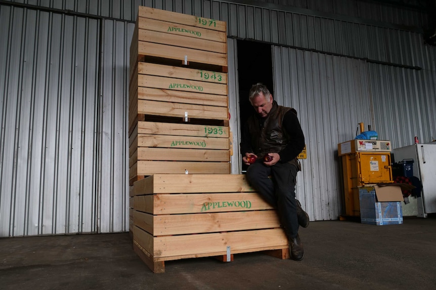 Manjimup apple grower Vic Grozotis at his packing shed in July 2020.