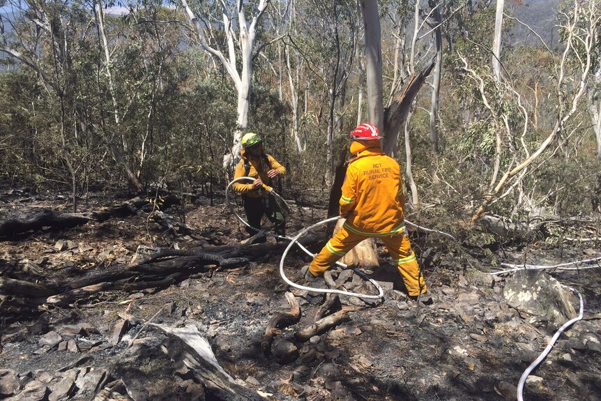 Fire fighters put out hot spots in burnt out bushland at Mount Clear.