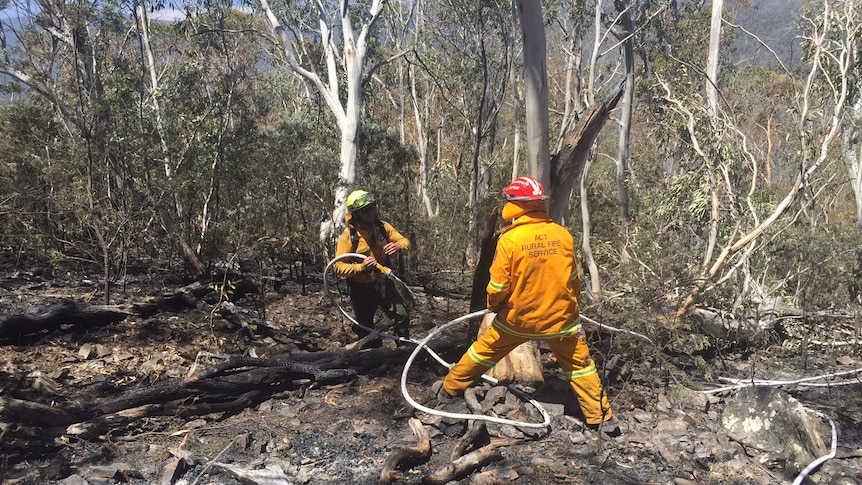 Firefighters put out hot spots in burnt out bushland at Mount Clear.