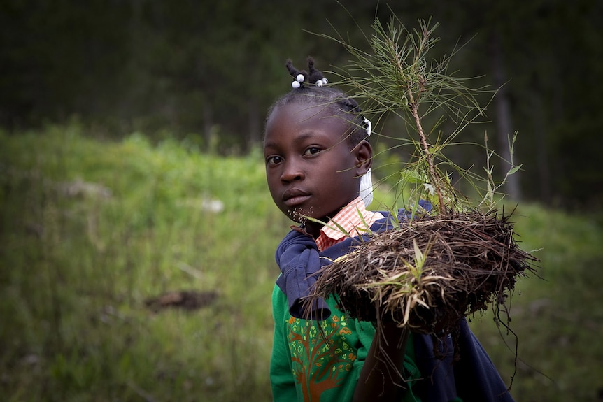 A Haitian student with a new seedling for planting