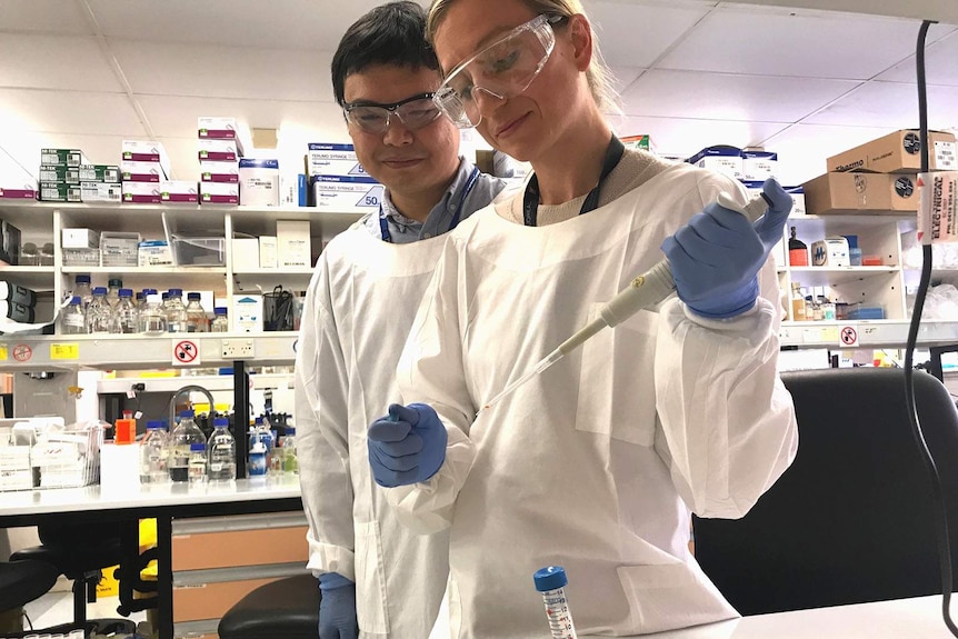 A male and a female medical researcher in a laboratory