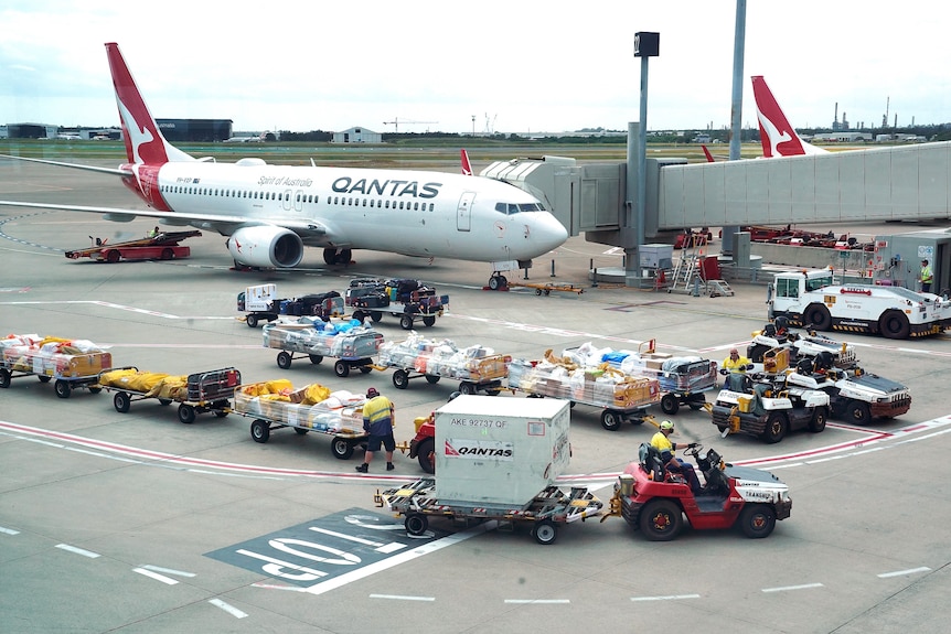 Qantas ground staff work on a tarmac near a parked Qantas plane surrounded by baggage trolleys.