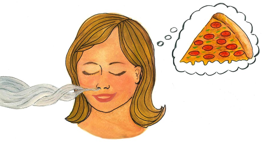 How do we smell? - ABC Kids listen