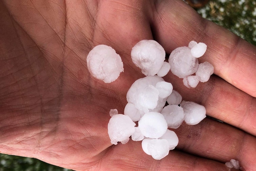 A hand full of hail stones.