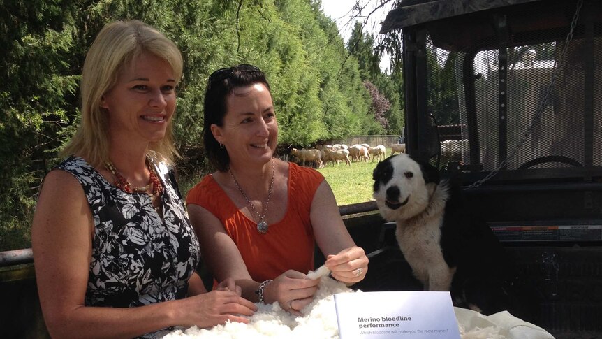 Primary Industries Minister Katrina Hodgkinson and senior researcher Dr Sue Hartcher with a bale of wool.