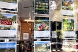 The window of a Bellingen real estate agent showing sold signs.