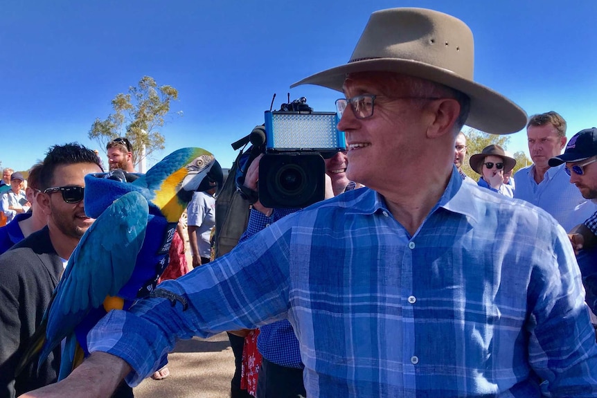 Prime Minister Malcolm Turnbull holds a macaw on his arm.