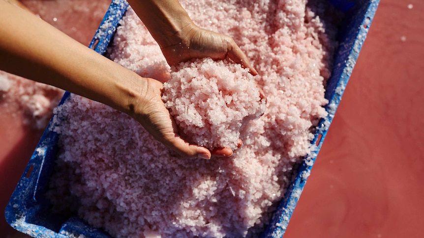 A blue bucket full of pink salt sits underneath hands holding some of the product.