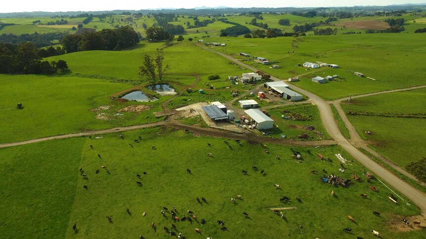 A drone shot shows the lush Frankcombe property in north-western tasmania