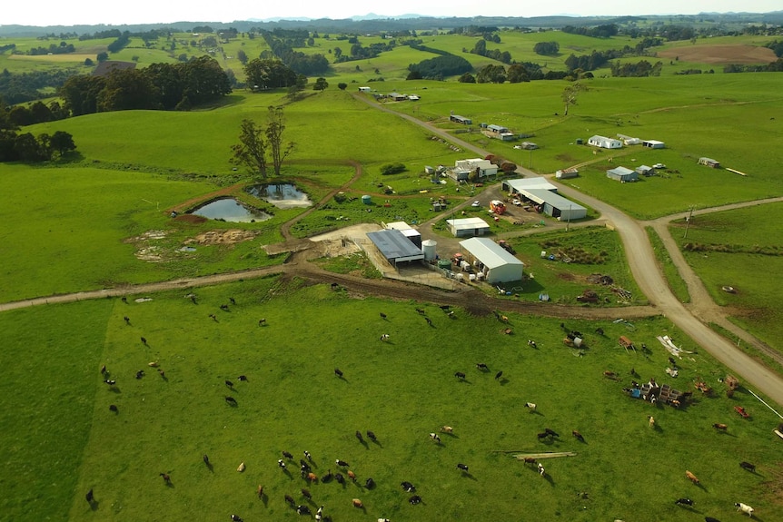 A drone shot shows the lush Frankcombe property in north-western tasmania