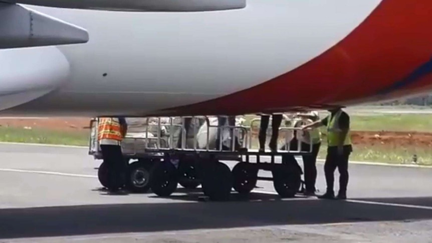 Workers are seen offloading the bags of durian from the flight after passengers complained.