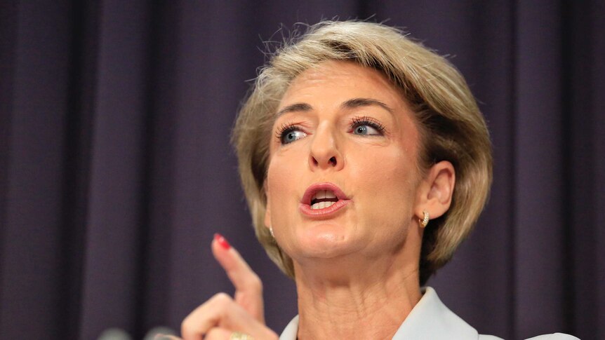 Michaelia Cash wears light blue and is mid sentence while talking to reporters in Canberra
