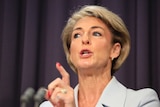 Michaelia Cash wears light blue and is mid sentence while talking to reporters in Canberra