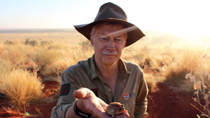 Professor Chris Dickman holding a small desert frog in the Simpson Desert at sunset.