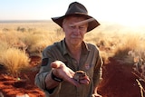 Dr Chris Dickman holding a small desert frog in the Simpson Desert at sunset.