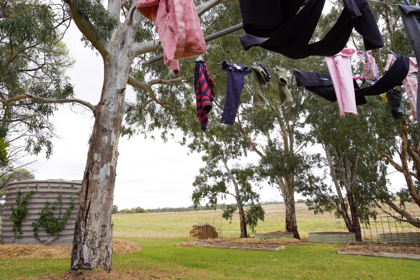 Adult and children's clothes blow about in the wind from the Hills hoist on a farm.