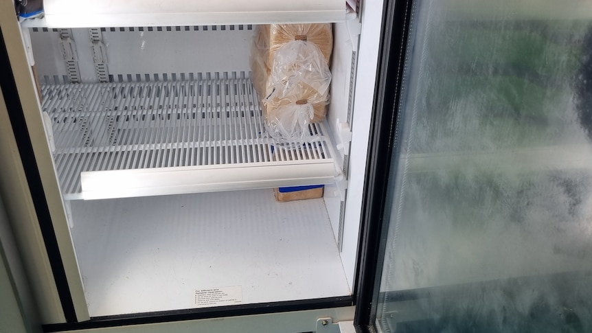 Bread in a freezer 