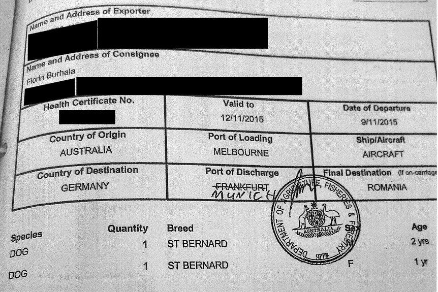 Documents showing the export of Florin Burhala's dogs in 2015