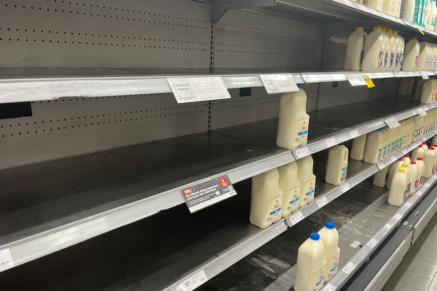 an empty milk fridge at a coles supermarket