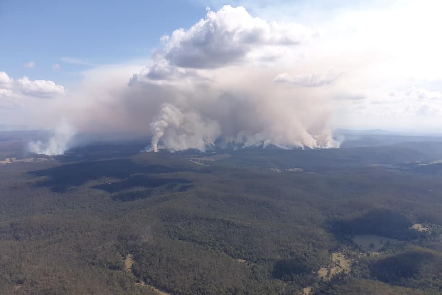 Massive smoke plume over bushland