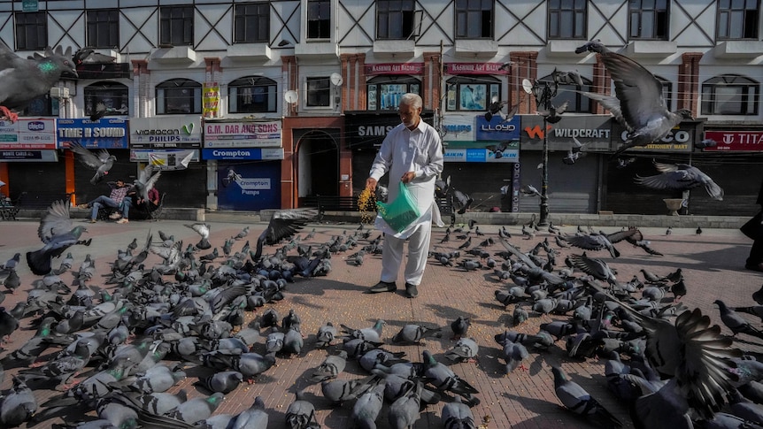 A man dressed in white surrounded by a flock of pigeons in a street.