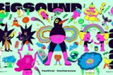 Illustration for BIGSOUND 2021 featuring colourful birds and rainbows