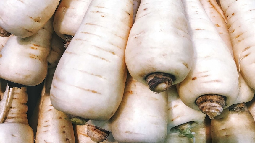 A mix of raw white parsnip splayed out.