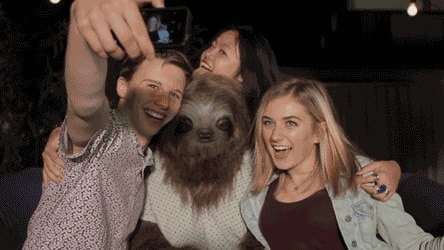 Stoner Sloth campaign