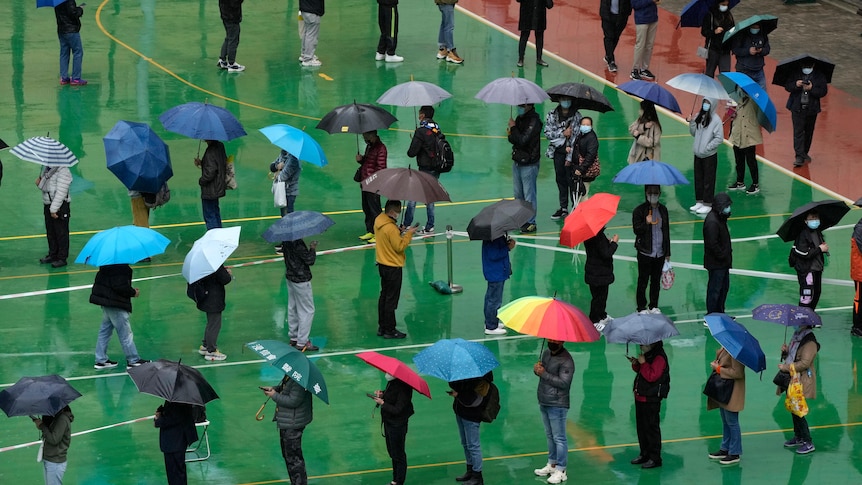 People with umbrellas line up on a court, while socially distancing. 
