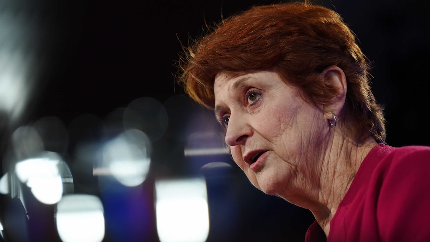 Susan Ryan was appointed Australia's first age discrimination commissioner in 2011.